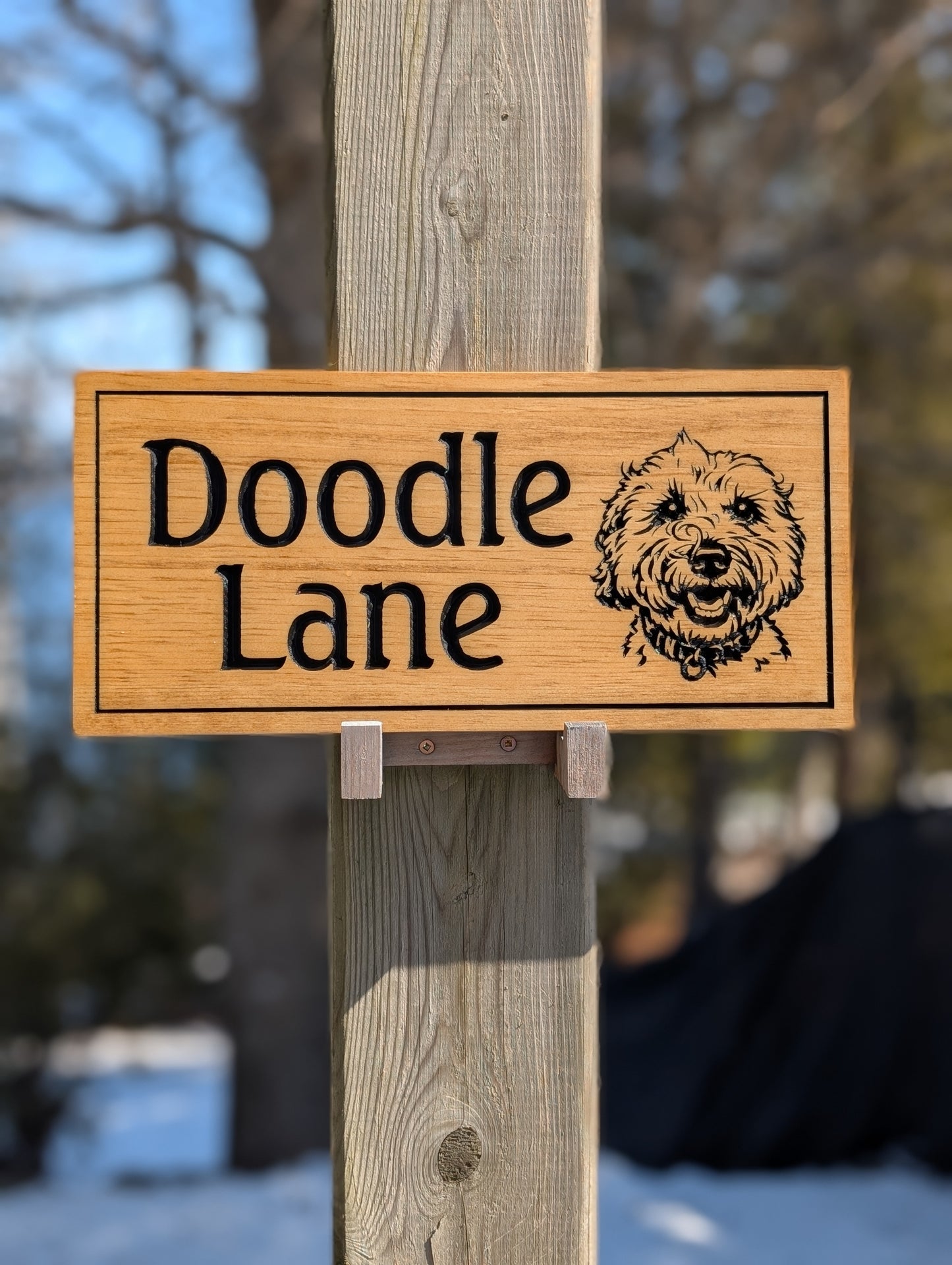 FUNDRAISER FOR A LITTLE AT A TIME: Custom Engraved Wood PET SIGN | Sign for Pets